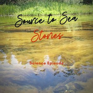 sts stories science 2